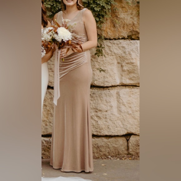 Revelry Dawson Velvet Dress Champagne Color Size 8 - Picture 7 of 9